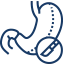 Bariatric Surgery