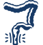 Anal and Perianal Conditions